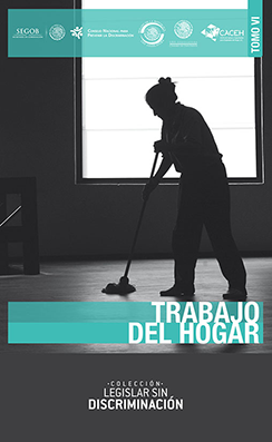 Portadad LSD Trabajo del hogar