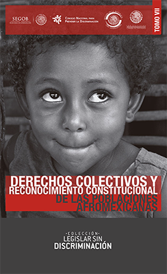 Portada Derechos colectivos y reconocimiento constitucional