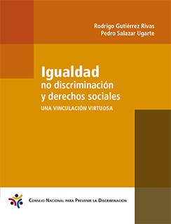 Portada Igualdad, no discriminación y derechos sociales
